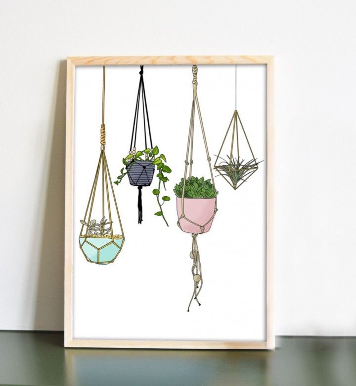Vetplanten in hangpotjes poster