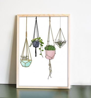Vetplanten in hangpotjes poster