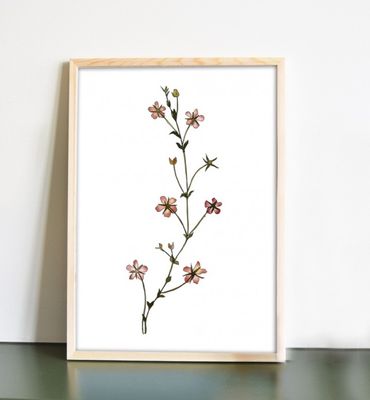 Botanische print roze bloem poster