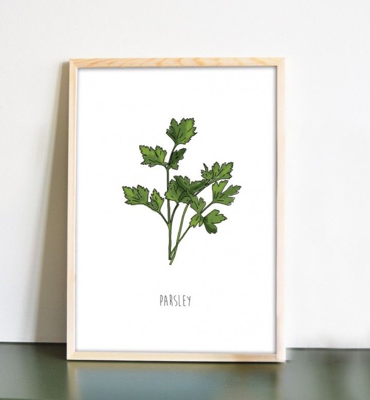 Poster print kruiden