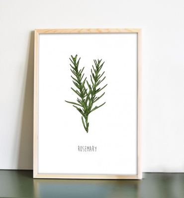 Rosemary – kruidenposter met rozemarijn
