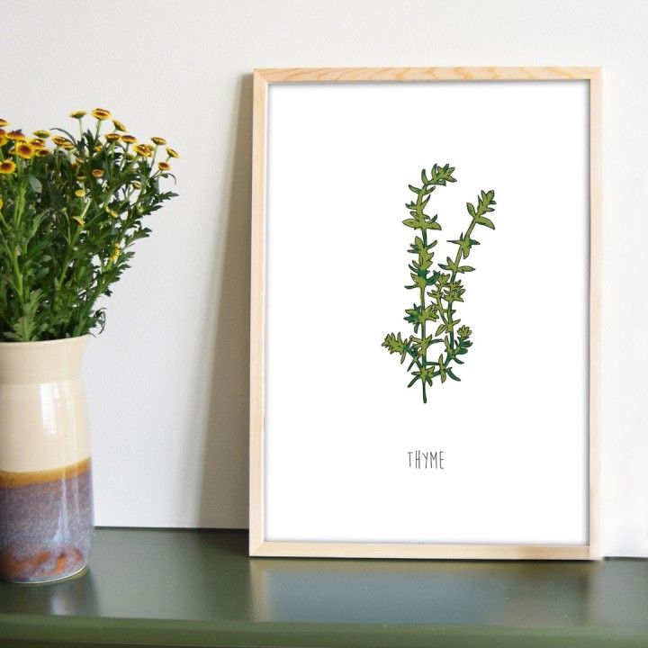 Kruiden poster tijm