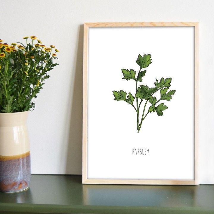 Kruidenposter set – voor de keuken (3 prints A4)