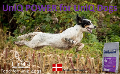 UniQ Power