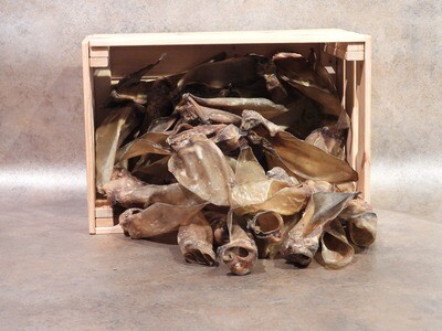 Runderoor met pit