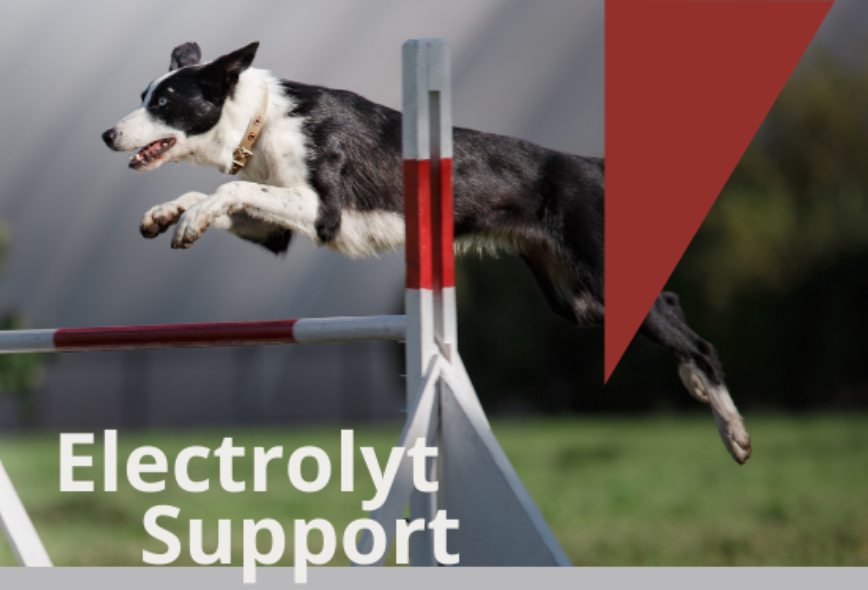 Electrolyt Support 1 liter fles
