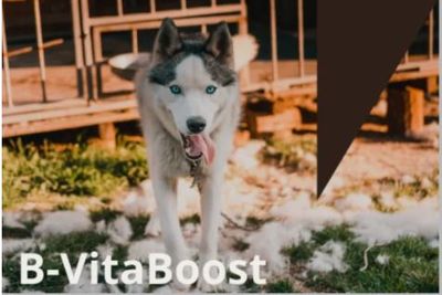 Nordic Gold B-Vita Boost