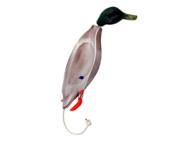Dokkens Dead Fowl Foam Eend - mini