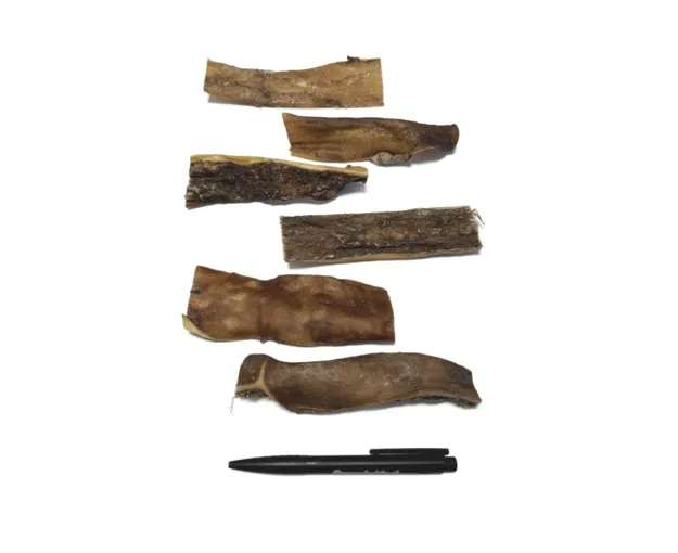 Herten Kophuid 15 cm