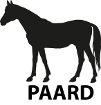 Paard