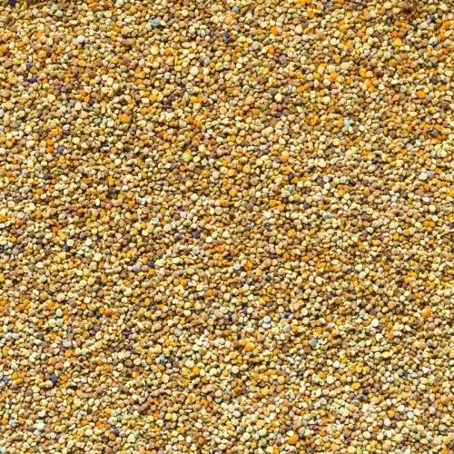 Bijenpollen voor Honden