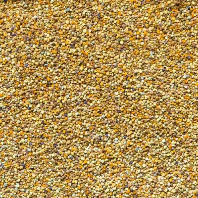 Bijenpollen voor Honden