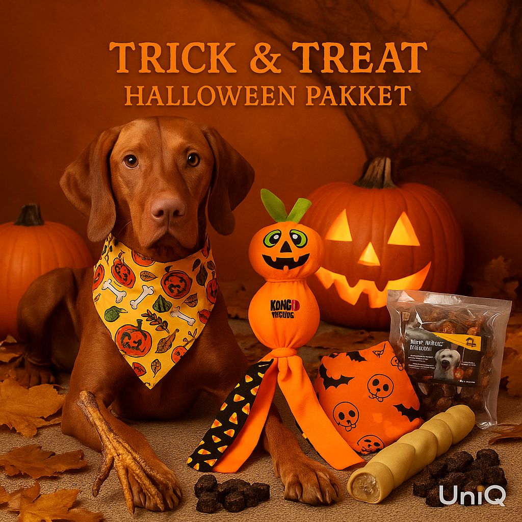 Trick &amp; Treat Halloween Box