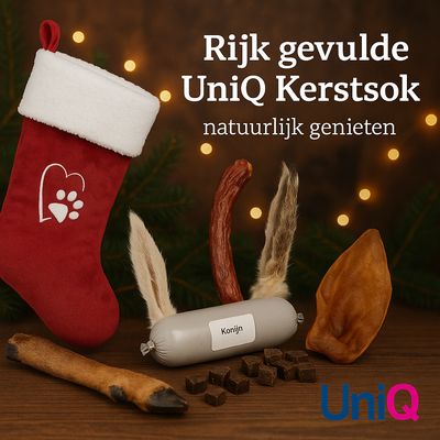 Kerst Sok - gevuld met natuurlijke snacks