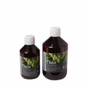 UniQ NordicGold Thor (TAKE IT EASY OLIE)