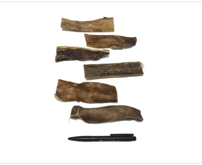 Herten Kophuid 15 cm