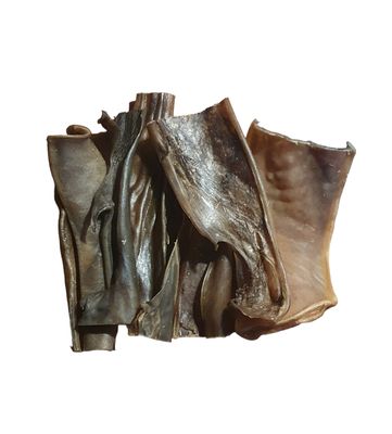 Kameel Kophuid - 15 cm