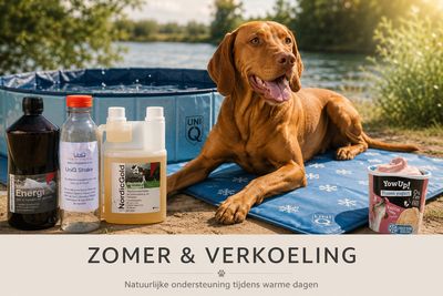 Zomer Essentials