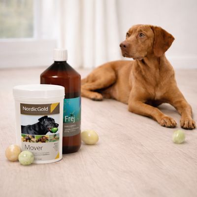 Supplementen voor gewrichten