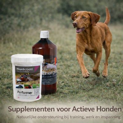 Supplementen voor Actieve Honden