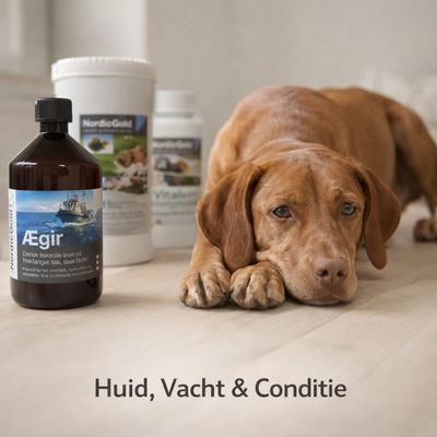 Huid, Vacht &amp; Conditie