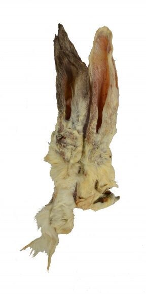 Konijnenoren met haar