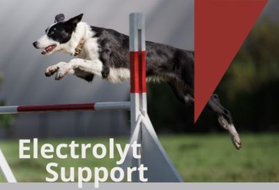 Electrolyt Support 1 liter fles Electrolyt Support 1 liter fles