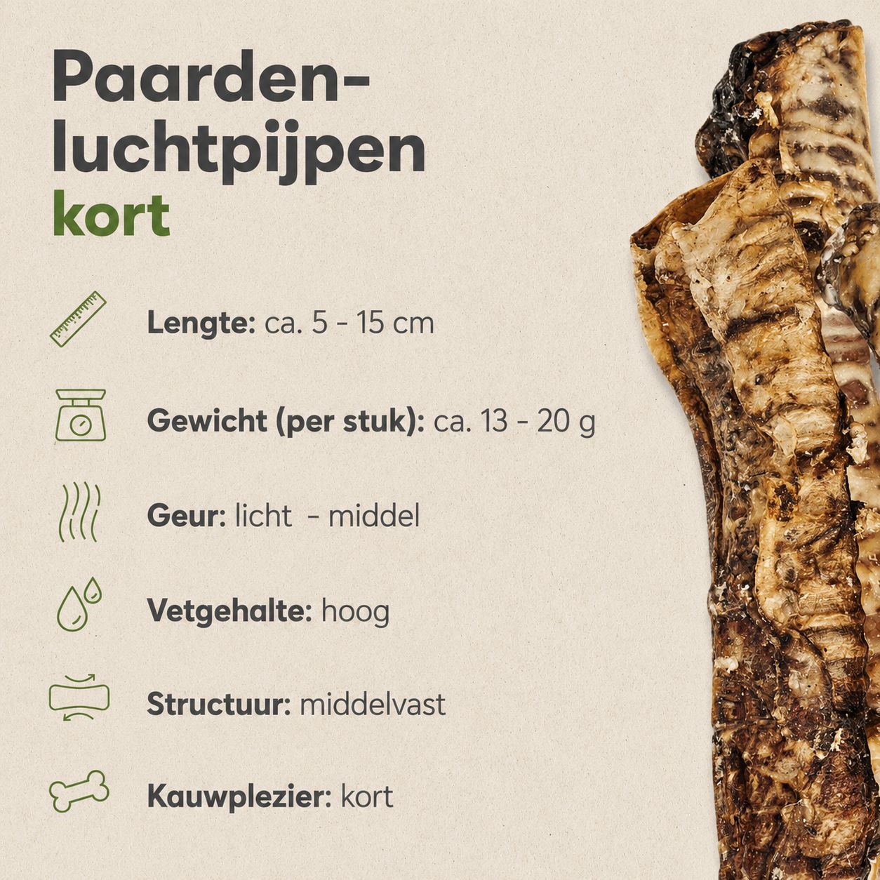 Paarden Luchtpijp kort