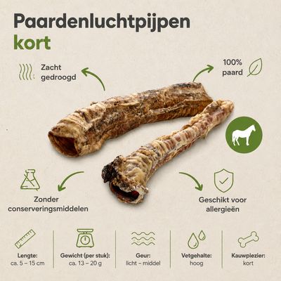 Paarden Luchtpijp kort