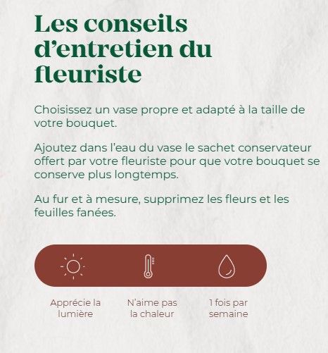 Bouquet Gloriette  Les fleurs qui composent ce bouquet évoquent l’attachement, l’émotion et la sympathie. Offrez-le à vos proches pour leur dire « tu me manques ». pris entre 45 € à 65 €