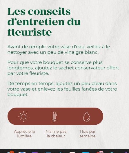 Bouquet Grandes Eaux. Universellement les fleurs blanches symbolisent la pureté et la perfection.  prix de 40 € à 75 €
