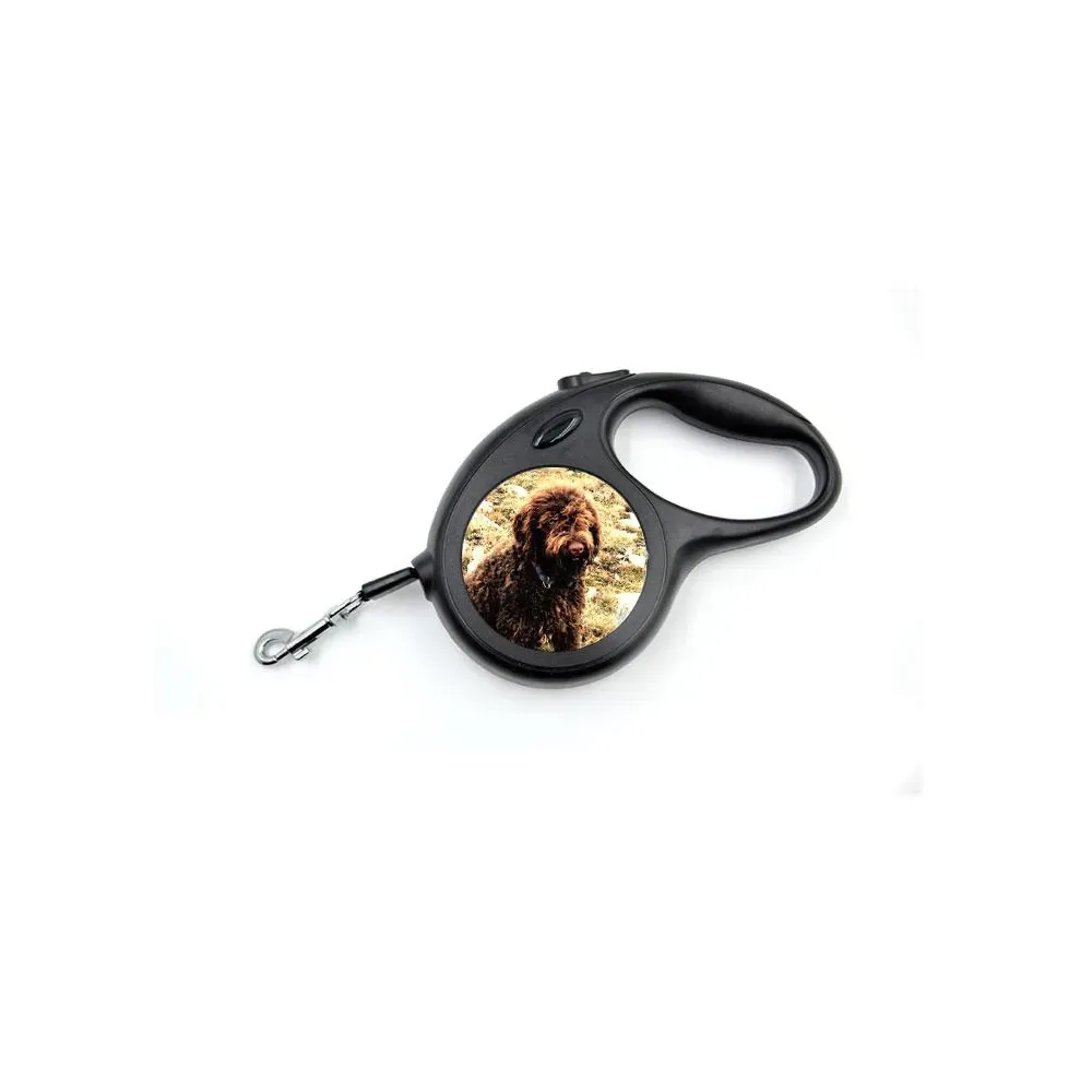 Laisse exteensible prixe 23.00€ a  19.00 €
