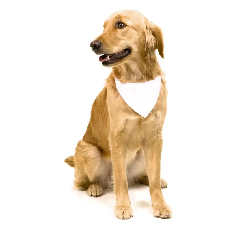 cinq Bandana Pet Collier