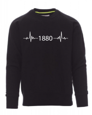 Heartbeat 1880  | Sweater