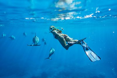 Mask, Snorkel, Fins