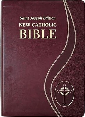 St. Joseph New Catholic Bible 617/19BG