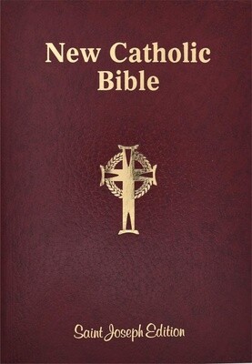 St. Joseph New Catholic Bible 617/04