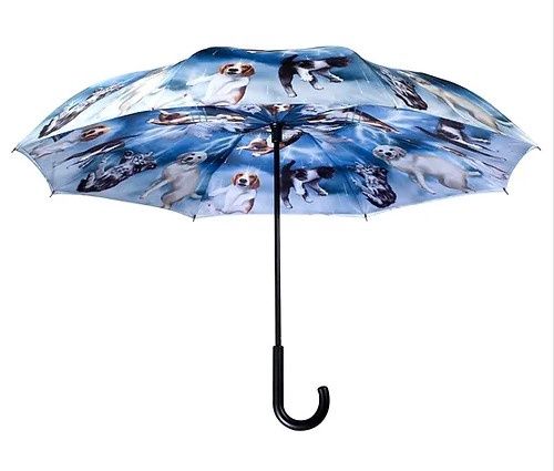 23028RC Cats and Dogs Stick Umbrella, Colour: Cats/Dogs