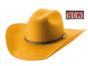 0870 Life With You Felt Hat