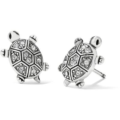 J22311 Fortune Turtles Mini Pos