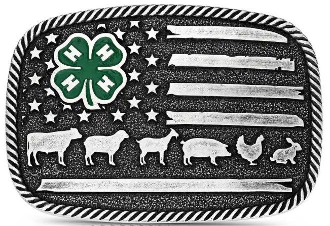 A1049S 4-H Livestock Buckle, Colour: Sil/Green