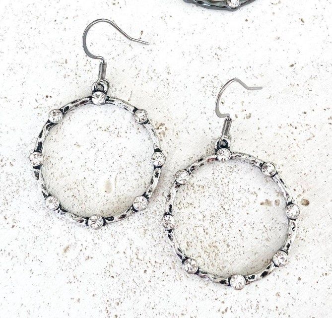 E23061 Silver Circle Earrings