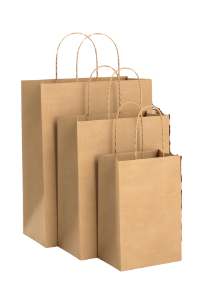 KRAFT HANDLE BAGS