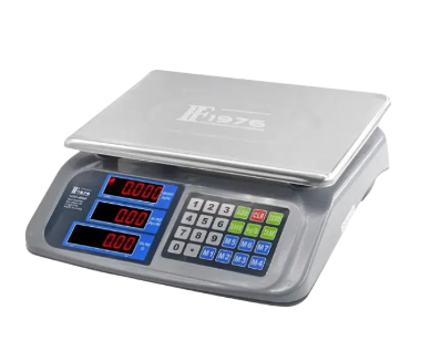 ELECTRONIC  PRICE COMPUTING SCALE