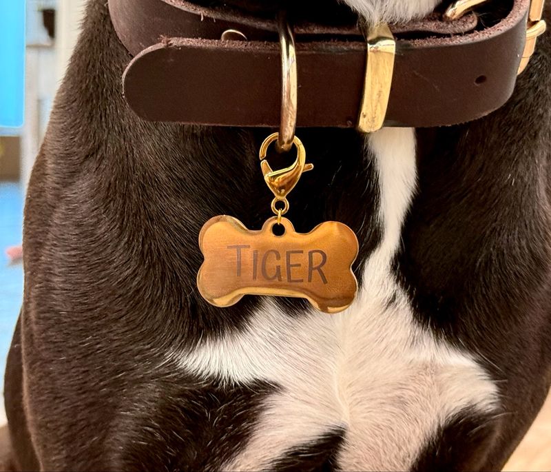 STAINLESS STEEL BONE ID TAG