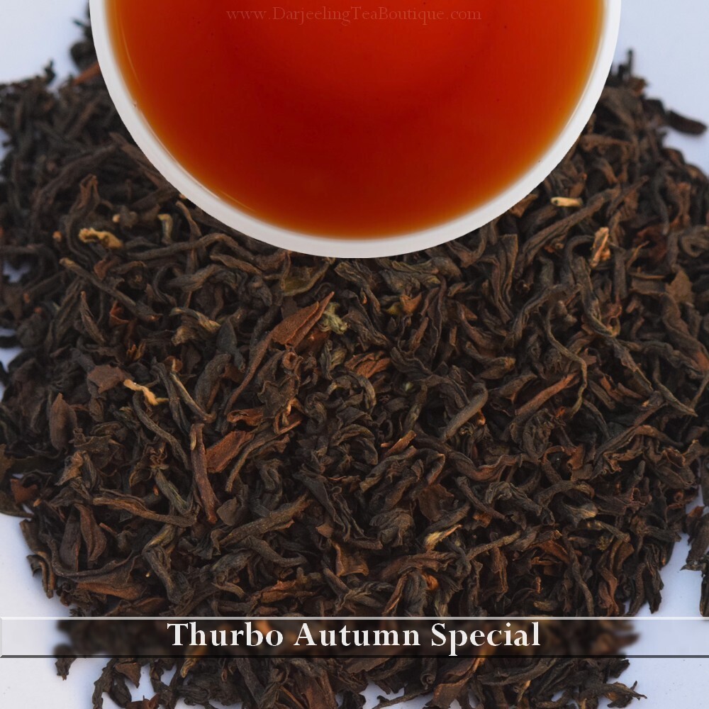 WHOLESALE PACK | THURBO SPECIAL