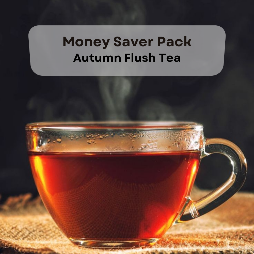 MONEY SAVER WHOLESALE PACK: Darjeeling Autumn Flush
