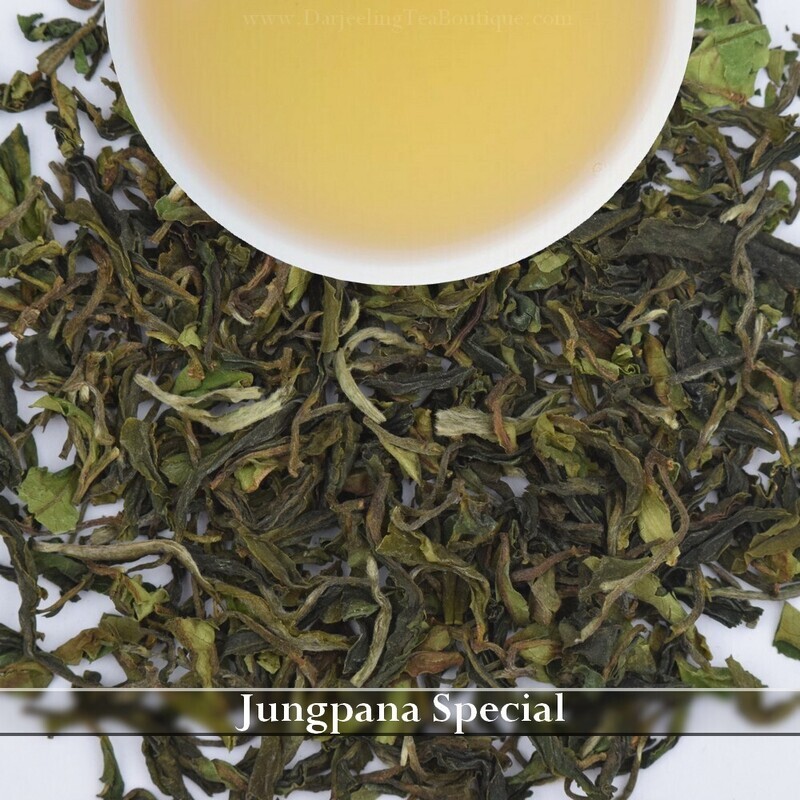 WHOLESALE PACK | JUNGPANA SPECIAL