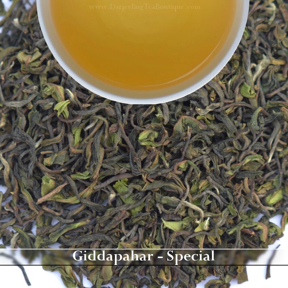 WHOLESALE PACK | GIDDAPAHAR SPECIAL