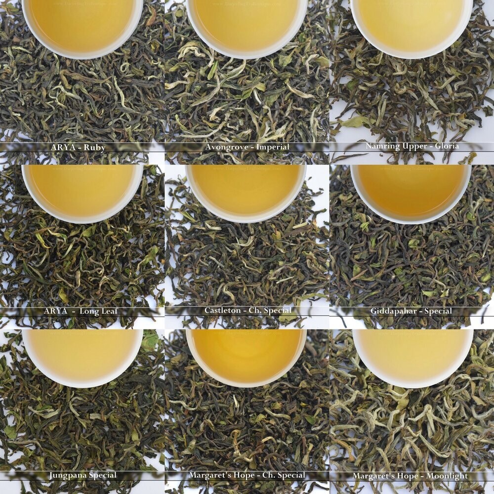 Sample Pack | Darjeeling First Flush Tea | 10 x 10g